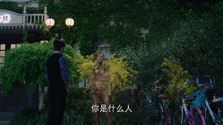 Guardian ep06 cgi bush lady
